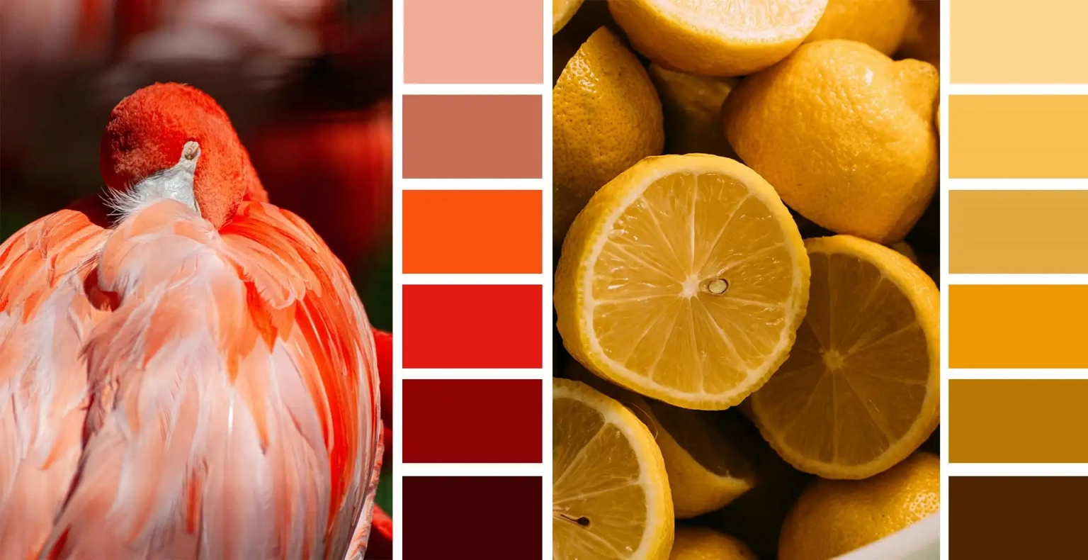 innenarchitektur-freiburg-farbwirkung-rot-gelb